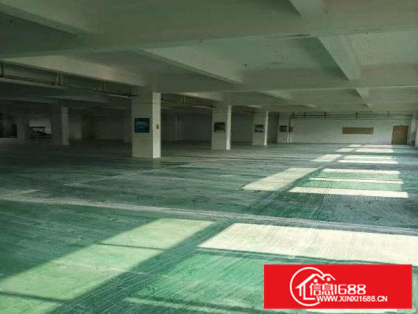 标准出来二楼1500平方，带地坪漆，消防喷淋，价格便宜