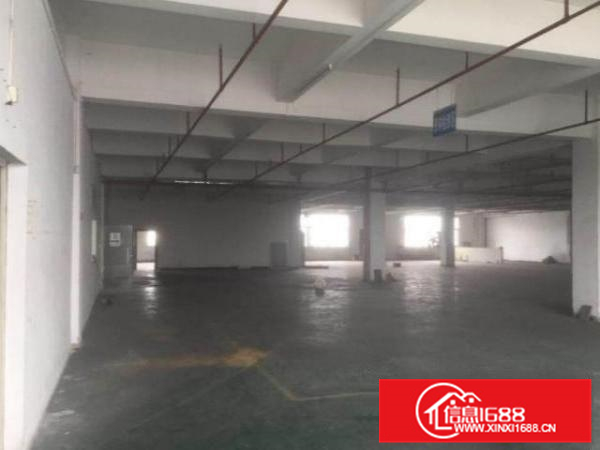 丹灶丹灶南沙工业区新出原房东独院分租1楼1500