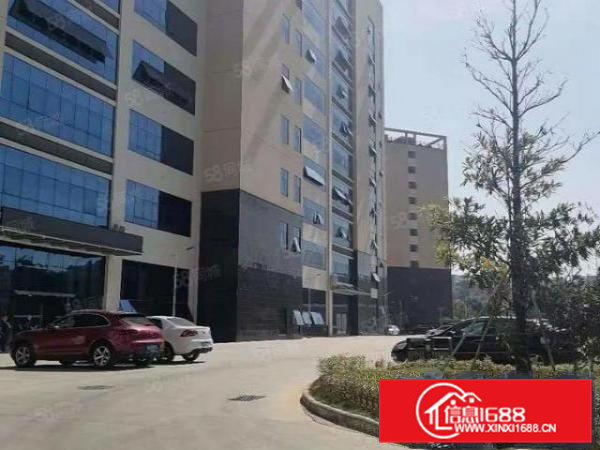 金凤凰新出原房楼上精装修1200平方厂房出租（可分租）