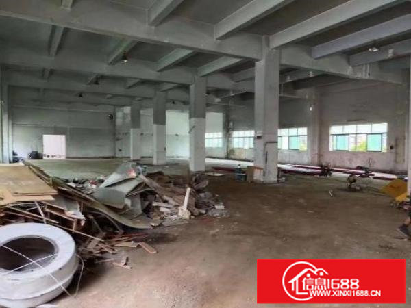 新出来独门独院空地大