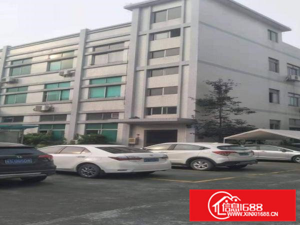 企石镇新出原房东超靓标准厂房实量面积5500平，超大空地