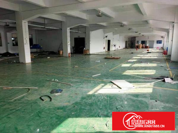 塘厦四村1300平厂房出租