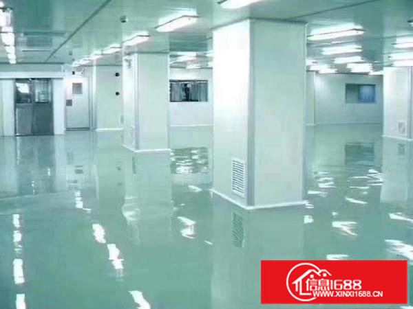 大岭山高新产业园新出无尘车间1088平无转让费