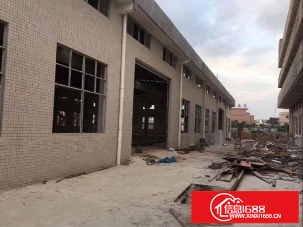 大朗镇宝陂独院单一层厂房2900平方出租，滴水8米