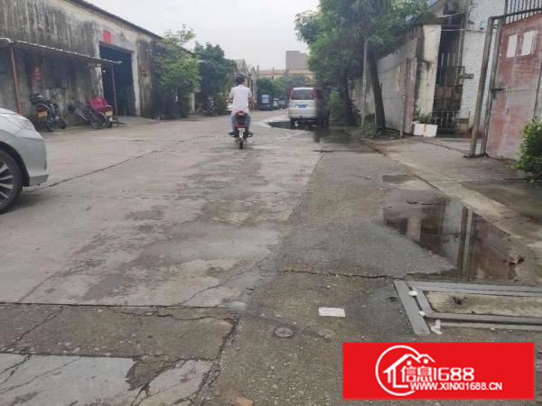 容桂新出简易厂房350方，交通方便，价格便宜