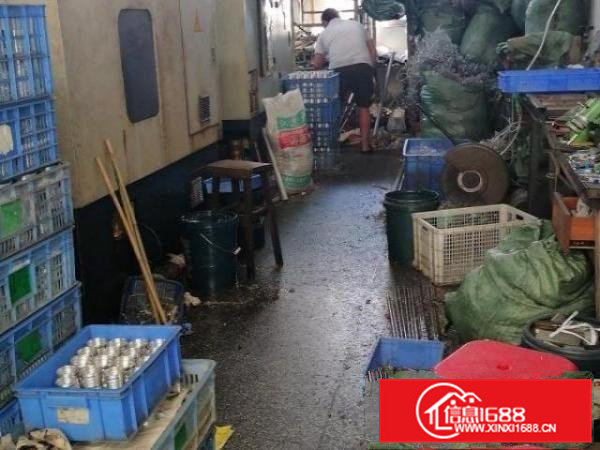 面积290平，适合小加工企业，水电齐全