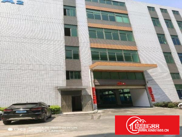 东坑镇全新原房东厂房