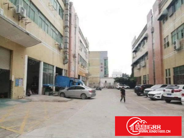 福永新和沿江高速路口新出一楼900平方