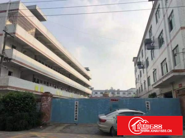 标准厂房分租坪山坑梓