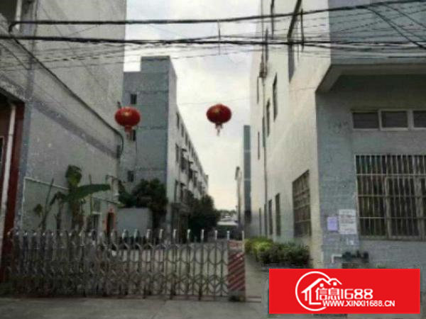 高埗工业园厂房楼上1000平米带装修厂房出租