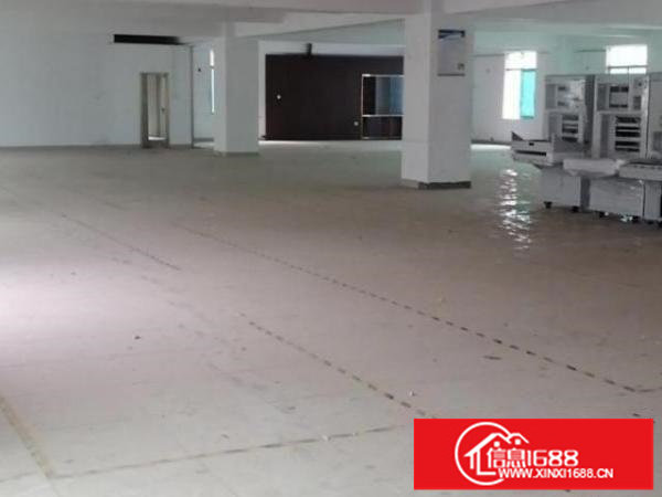 独栋独院村委原房东厂房