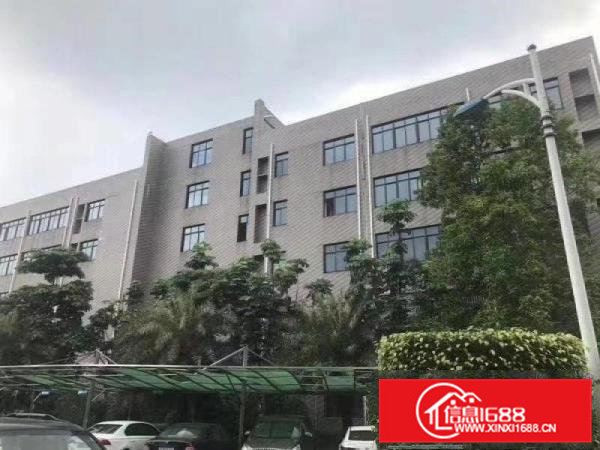 寮步镇原房东出租标准重工业厂房一楼层高6米