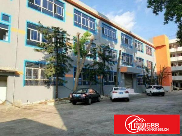 布吉木棉湾1000平厂房出租。可分