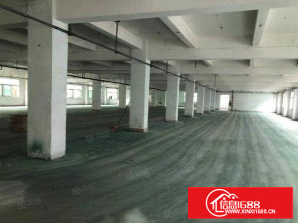 独院标准厂房5655平可整租可分租有电梯带地坪漆