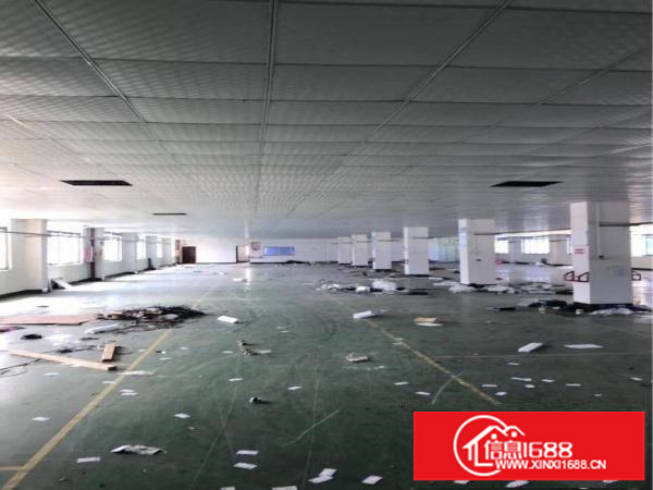 横岗新出楼上2000平方带装修厂房出租