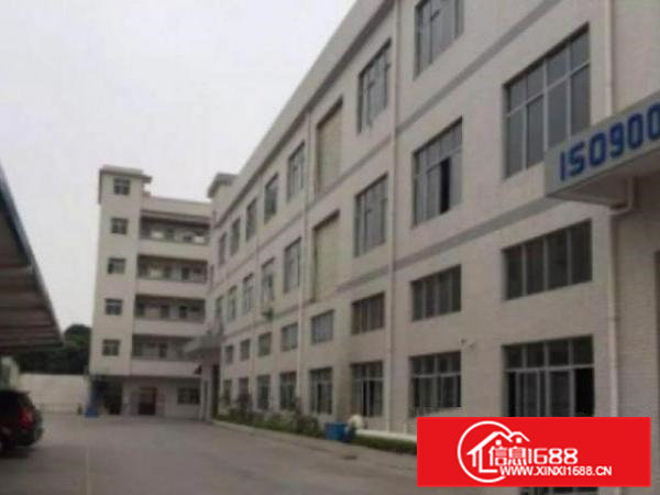 高埗新出1楼1000平方独立空地1500平，楼层高6米