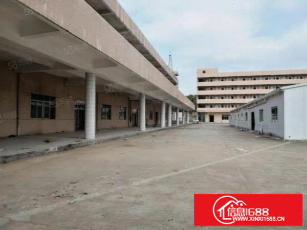 清溪大利原房东钢构标准厂房出租厂房分租，水电齐全，现成环评