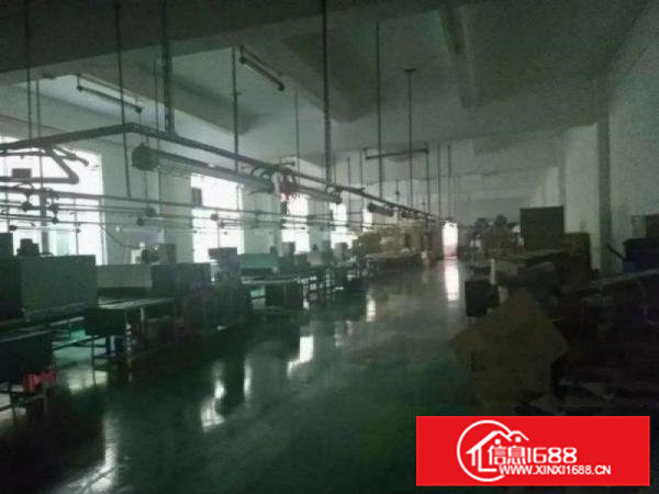 石排新出楼上800平方带装修水电齐全带货梯