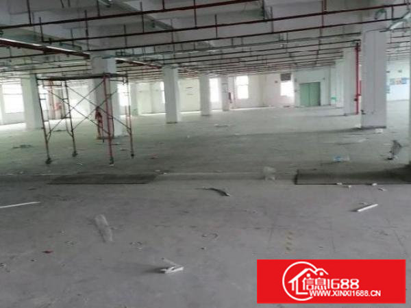 一二楼厂房4000平出租大小可分租，楼上100平起租！