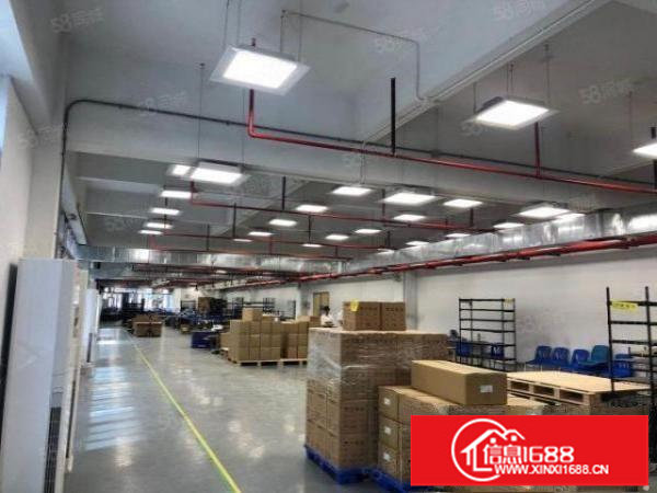 龙岗坂田原房东单层面积3500平厂房出租适合物流仓储中转站