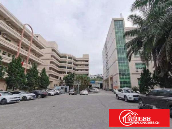 企石下截村红本1200平厂房带地坪漆3部3吨货梯