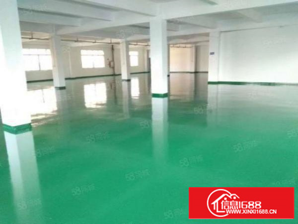 万江新出500~1000平带全新地坪漆出租（交通方便易招工）