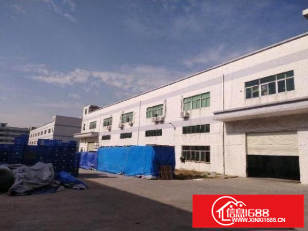 松岗大田洋原房东两层小独院4000平方大小分租