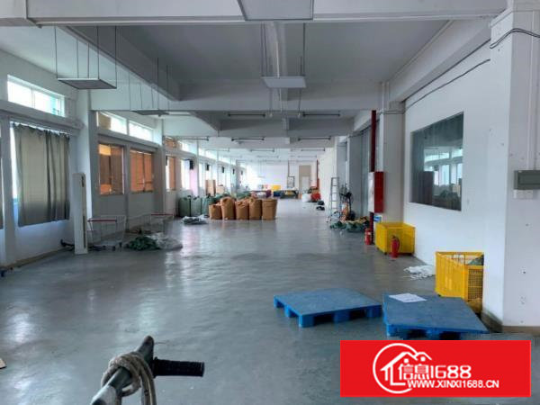 塘厦莲湖刚空出二楼600平现成装修主线拎包生产价格美丽