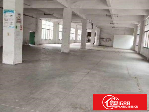 平湖白泥坑海吉星一楼,楼上厂房出租带冷库,50平方起租