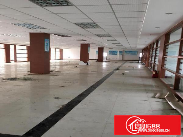 丹竹头地铁口电商办公仓储厂房80一6000平出租