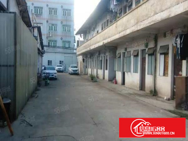 茶山独门独院单一层厂房仓库2200方出租