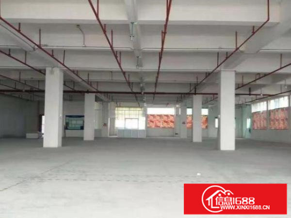 清溪青皇村急租楼上厂房550平