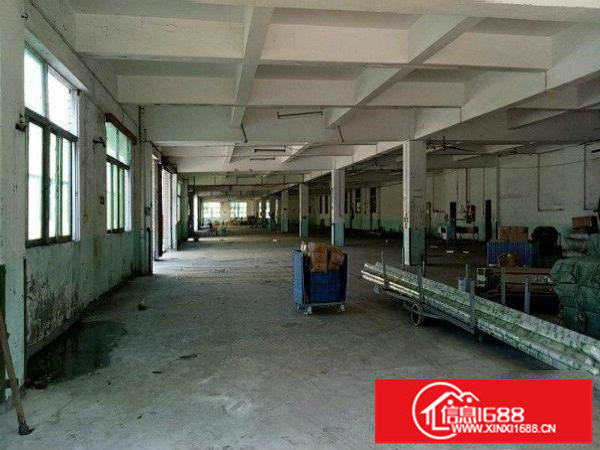 松岗乔山尾1000平单层大厂房出租，靠近主干道