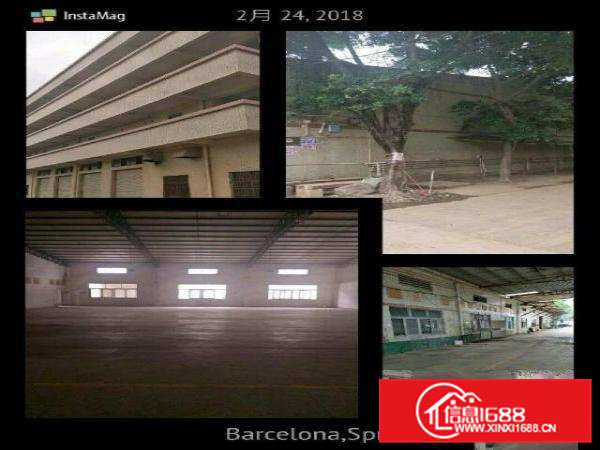 常平环城路边厂房5000平米