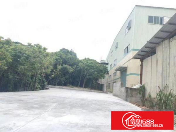 清溪镇独院一楼3636平高6.5米有牛角位电超大