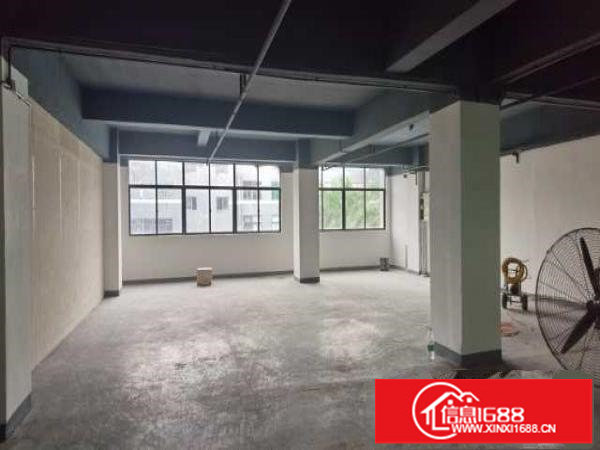 坪山坑梓新出超亮盘源