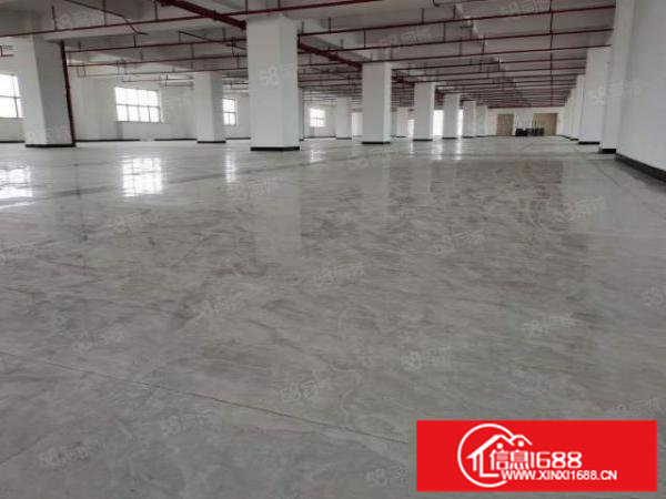 龙岗坂田原房东独院分租一楼1500平厂房出租空地大可做物流