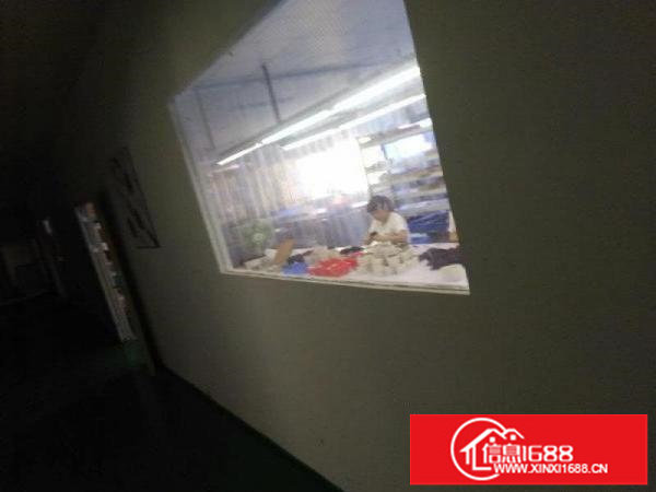 龙城周边凤岗官井头市场标准厂房一二楼1600平起招租