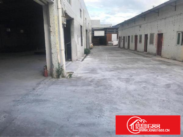 惠阳大亚湾全新钢构500平送200空地不限行业