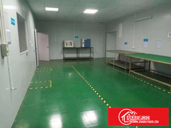 大岭山新出无尘车间随时拎包入住标准厂房1000平出租12元