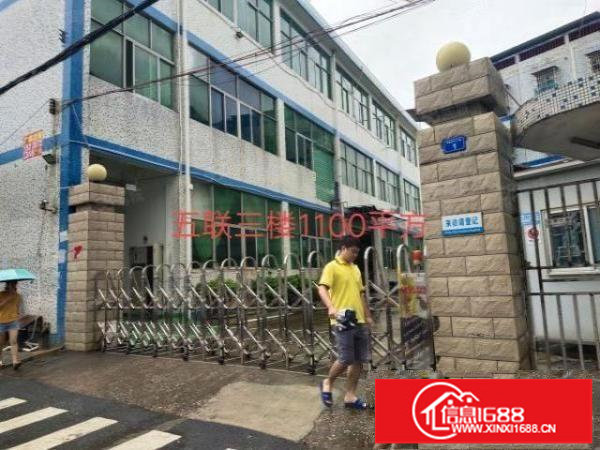 龙岗中心城独门独院厂房3000平方宿舍600平方出租