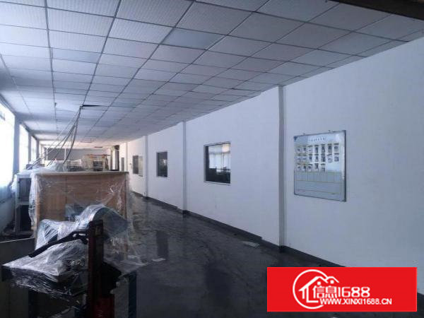 ~塘厦沙湖8900平方独院厂房【实拍图，做电池】挨观澜~