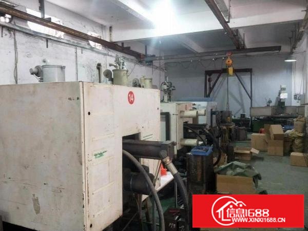 坑梓老坑工业区新出独院标准厂房一楼250平招租