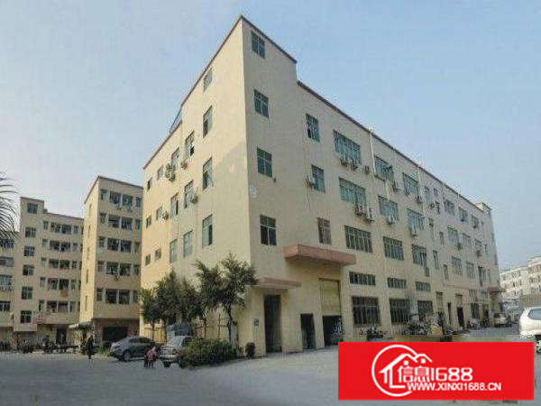 坂田布龙路边高新科技园1000平方精装修招租