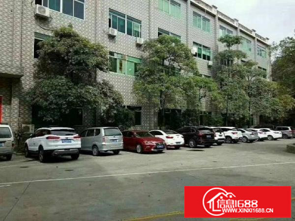 观澜原房东一楼1500平厂房出租，现成办公室