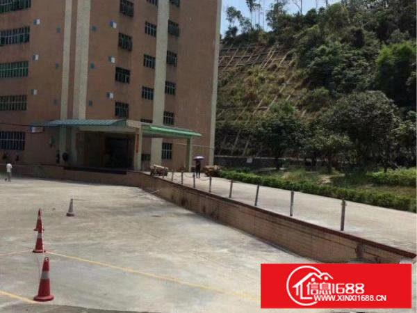 丹竹头地铁站每层2133平方厂房仓库招租分租