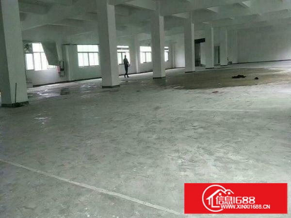 布吉上李朗1680平标准厂房