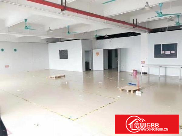 乌沙环南路附近新出楼上600平豪华装修厂房招租