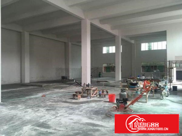 实拍！石鼓3800平方全新独栋标准厂房，950平/层，挨石马