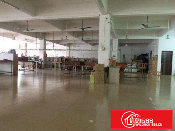东坑标准厂房楼上800平形象好招租